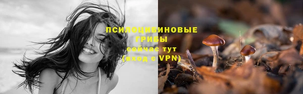 дурь Струнино