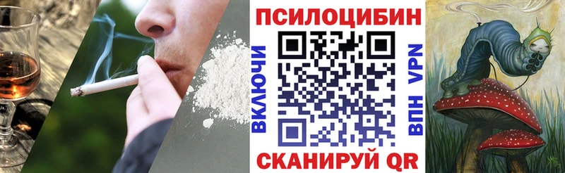 купить наркоту  Шелехов  Псилоцибиновые грибы мицелий 